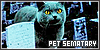  Pet Sematary: 