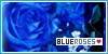  Folklore: Roses: Blue: 