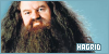  Harry Potter Series: Hagrid, Rubeus: 