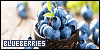 Fruit & Vegetables: Blueberries: 