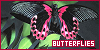  Invertebrates: Butterflies: 