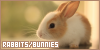  Mammals: Other Herbivores: Rabbits & Bunnies: 