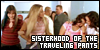  Sisterhood of the Traveling Pants, The: 