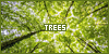  Plants/Flowers/Herbs: Trees: 