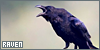  Birds: Ravens: 