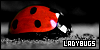  Invertebrates: Ladybugs (Ladybirds): 