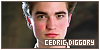  Harry Potter series: Diggory, Cedric: 