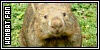  Mammals: Marsupials: Wombats: 