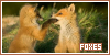  Mammals: Canines: Foxes: 